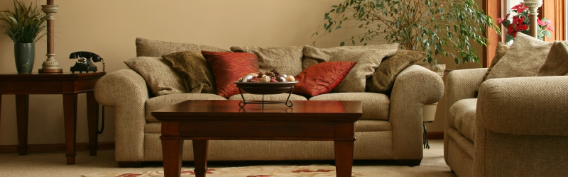 MicroSeal of Carson City - Permanent Stain and Sun Fade Fabric Protection